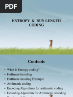 Entropy & Run Length Coding