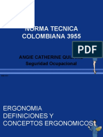 Norma Tecnica Colombiana 3955