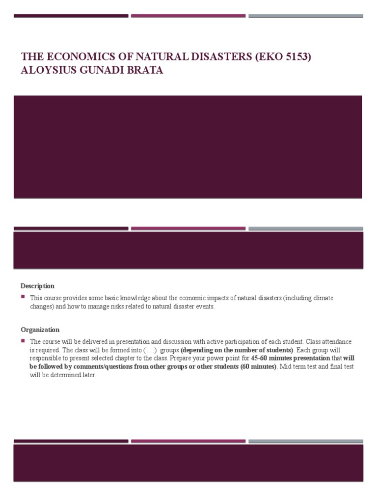 The Economics of Natural Disasters (Eko 5153) | PDF | Hazards | Risk ...
