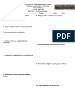 Tercer Parcial - Anatomía y Fisiología Humana