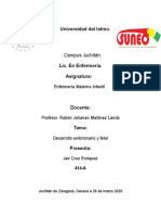 Concepcion y Desarrollo Fetal - 3.3 Desarrollo Embrionario y Fetal