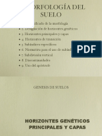 Morfología de Suelos PDF
