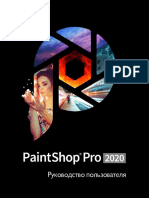 Paintshop Pro 2020 PDF