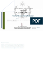 Constancia Derechos Humanos de Los Pueblos y Comunidades Indígenas