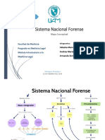 Trabajo Módulo I SNF.pdf