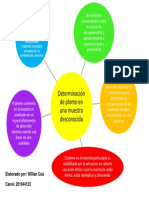 Laboratorio Det. Plomo.-Willian Cua