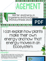 Copy of 1 Engagement Photosynthesis and Energy in Ecosystems