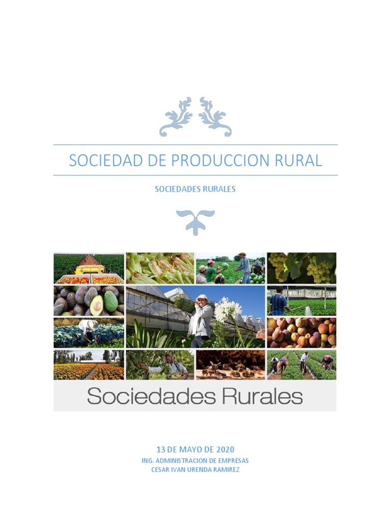 Sociedad de Produccion Rural PDF | PDF | Conceptos legales ...