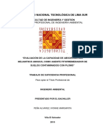 Evaluación de la capacidad de absorción del Helianthus annuus como agente fitorremediador de suelos contaminados con plomo