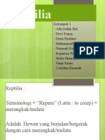 Reptilia PPT (Kelompok 1)