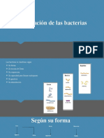 Clasificación de Las Bacterias-1