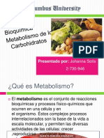 metabolismodeloscarbohidratos-110825025517-phpapp02.pdf