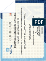 CURSO DE ESPECIALIZACION EN SEGURIDAD Y SALUD OCUPACIONAL 16 DE OCTUBRE L 23 de Diciembre 2019 PDF