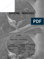 Apresentacao Sistema Nervoso