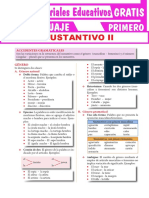 Accidentes Gramaticales Del Sustantivo para Primer Grado de Secundaria PDF