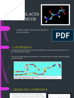 Enlace Peptidico