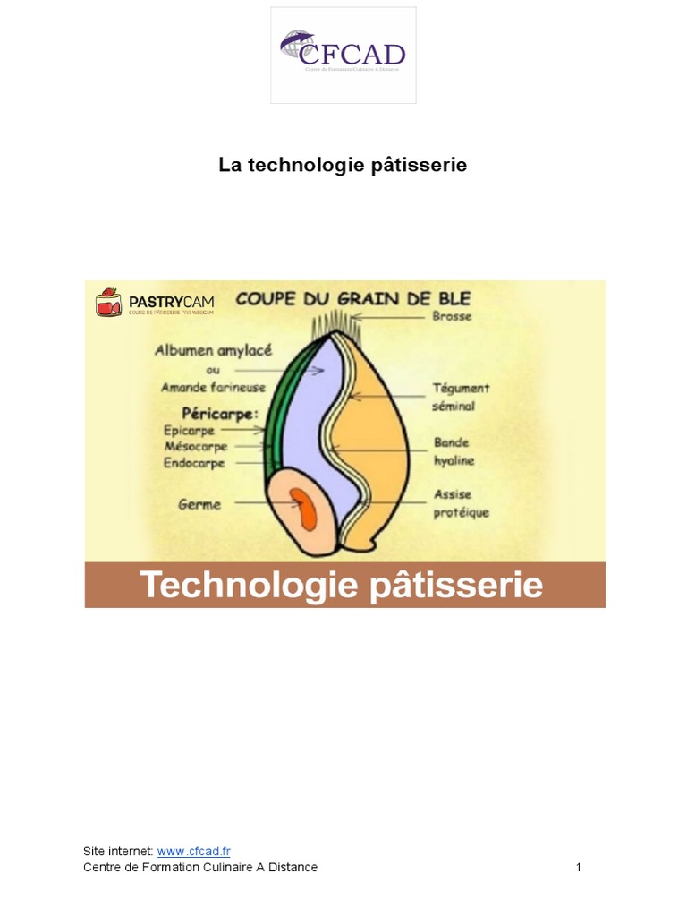 Technologie et Histoire de la Pâtisserie | PDF | Goût