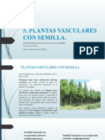 Plantas Vasculares Con Semilla