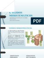 Ubicacion y Tejidos Meristematicos Primarios y Secundarios