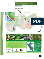 Linea Base - 3.5 PDF