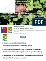 Desafios en Gestion Hidrica Intrapredial Productividad Lechera Chile PDF