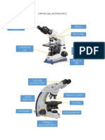 Partes Del Microscopio Practica 2