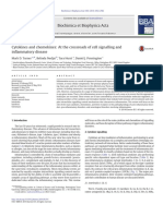 citokine-chemokine - IBD.pdf