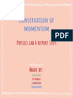 Physics Lab Report Momentum