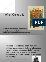 What Is Culture