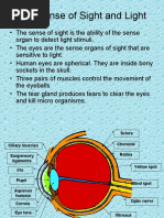 Our Sense of Sight and Light