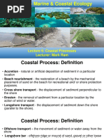 BIO3119-Marine & Coastal Ecology: Lecture 6: Coastal Processes Lecturer: Mark Ram