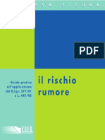 123_rischio rumore.pdf