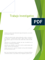 Trabajo Investigativo.pptx