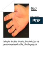 PA42.pdf