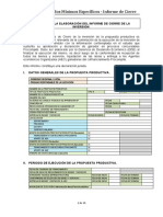 Pautas para Elaborar Informe de Cierre Procompite (24-02-2014) - 4
