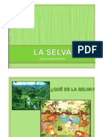 LA SELVA