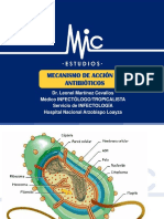 3.-MECANISMOS-DE-ACCION-DE-ANTIBIOTICOS.pdf