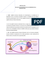 Funciones hormonas reproducción