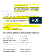 Combustion y Combustibles