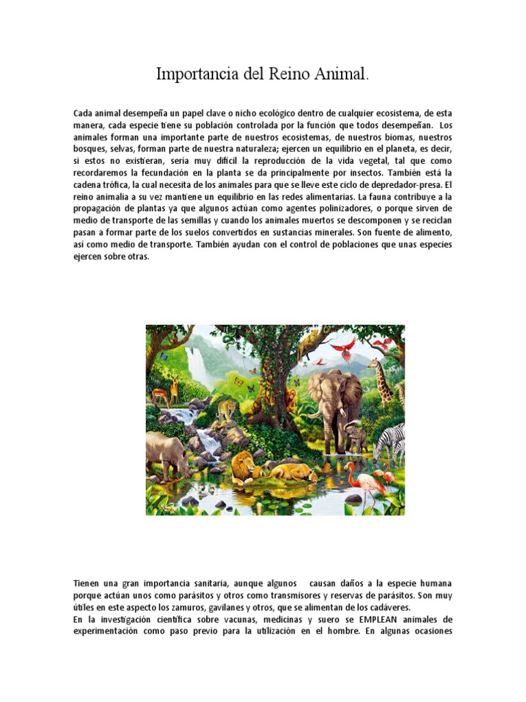 Importancia Del Reino Animal | PDF | Bienestar de los animales | Ecología