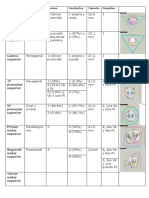 Anatomia Endodoncica