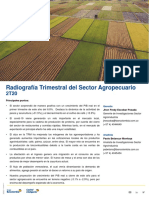 Radiografía Trimestral Del Sector Agropecuario 2T20 - Completo
