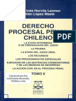 Horvitz, Maria Ines & Lopez, Julian - Derecho Procesal Penal Chileno Tomo II PDF