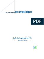 CA Business Intelligence Implementation Guide.pdf