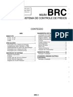 BRC.pdf