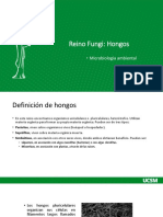 Hongos PDF