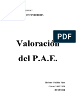 pae_valoracion.doc