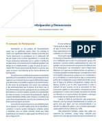 Participacion Democracia PDF