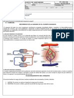 Guia #16 Recorrido de La Sangre en El Cuerpo Humano Biologia Septimo 2020