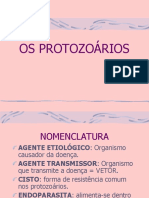 Protozoários e Protozoonoses PDF